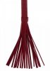 Small Whip red